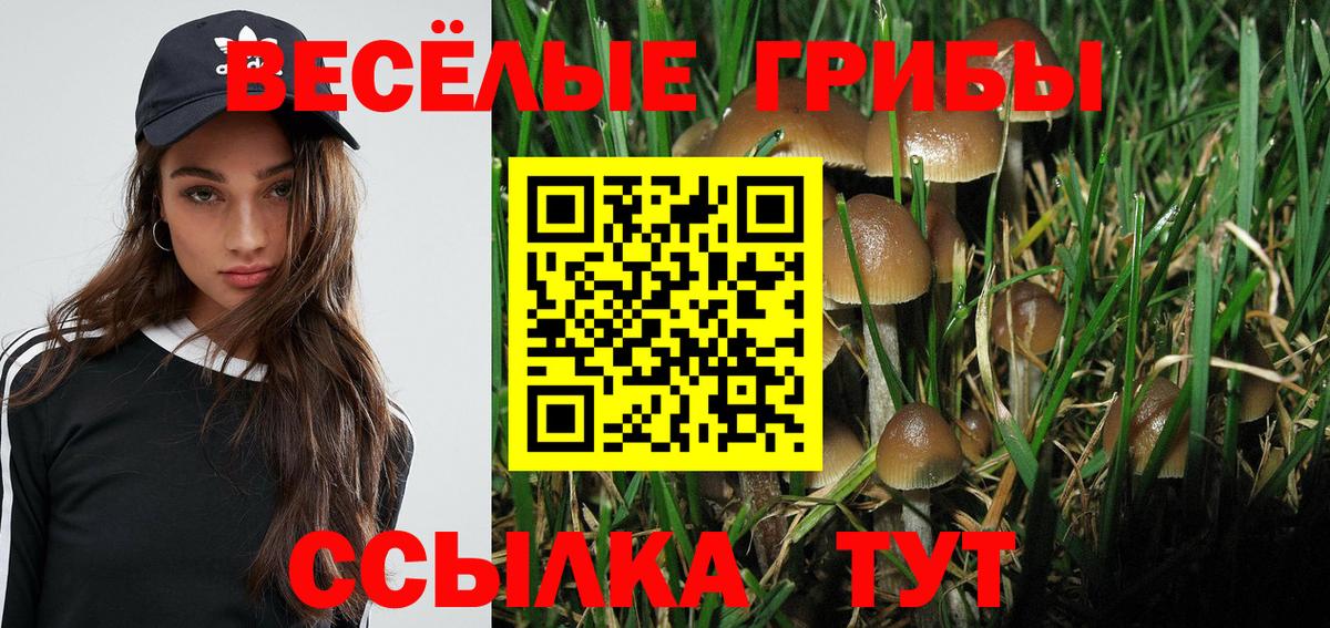 Чистополь  Псилоцибиновые грибы ЛСД  Вход с VPN  Галлюциногенные грибы прущие грибы 
